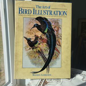 The Art of Bird Illustration by Maureen Lambourne Hardback 1990 Wellfleet Press